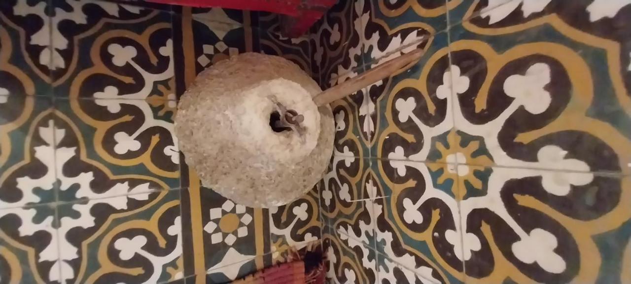 Riad Lala Zakia Moulay Idriss Dış mekan fotoğraf